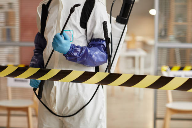 Professional Sewage Cleanup technician working in Highland, NY